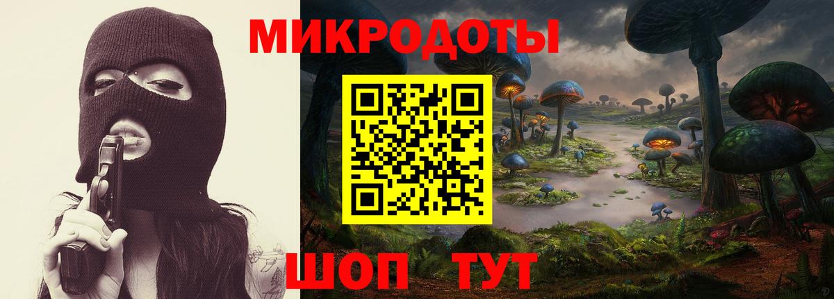 Смоленск  Псилоцибиновые грибы прущие грибы  Вход с VPN 